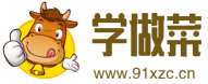 学做菜
